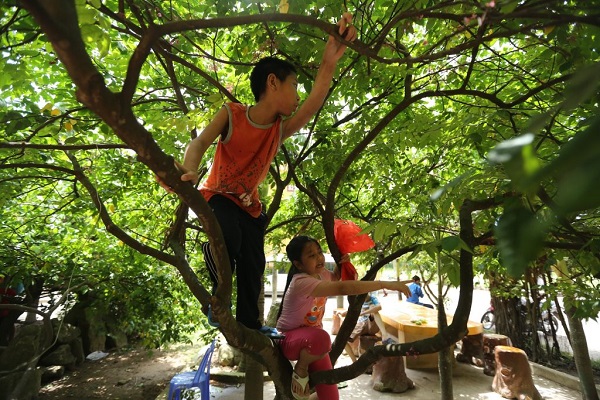 Mơ thấy trèo lên cao đánh con gì chính xác nhất